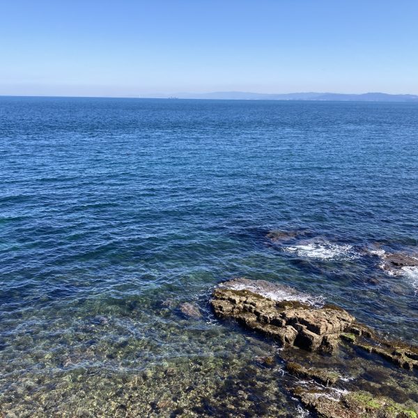 春の淡路島で、心身をほどくリトリートを。3月のご予約受付中です。 画像